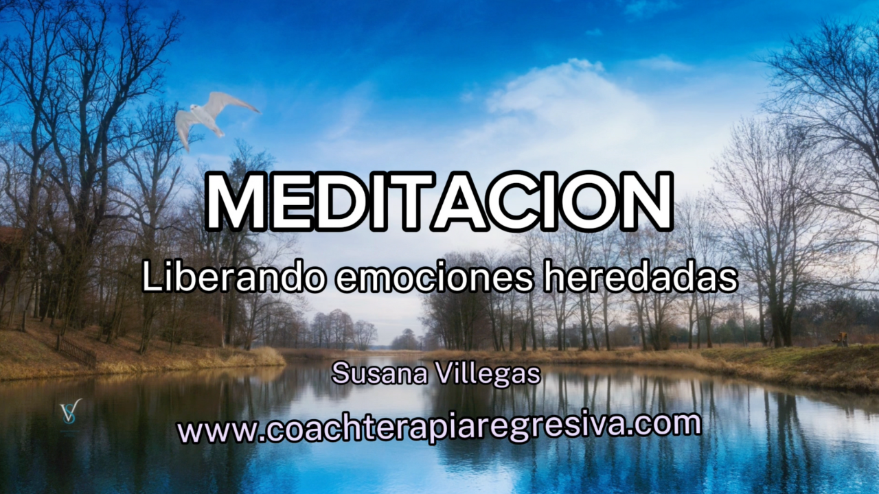 Noticia MEDITACIÓN PARA SANAR EMOCIONES HEREDADAS: 21 días para liberar y reprogramar el subconsciente.